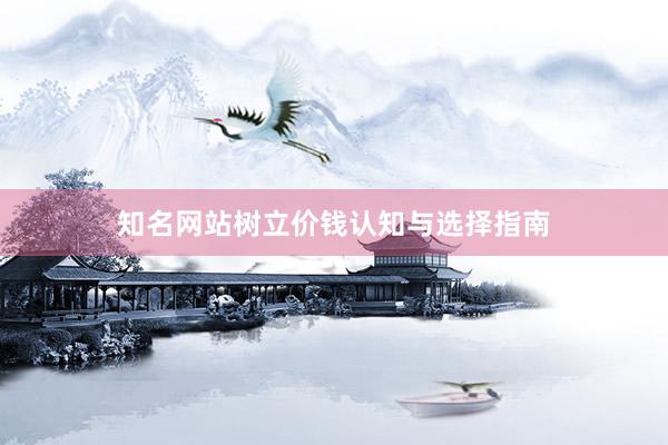 知名网站树立价钱认知与选择指南
