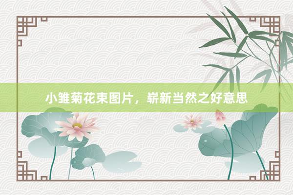 小雏菊花束图片，崭新当然之好意思